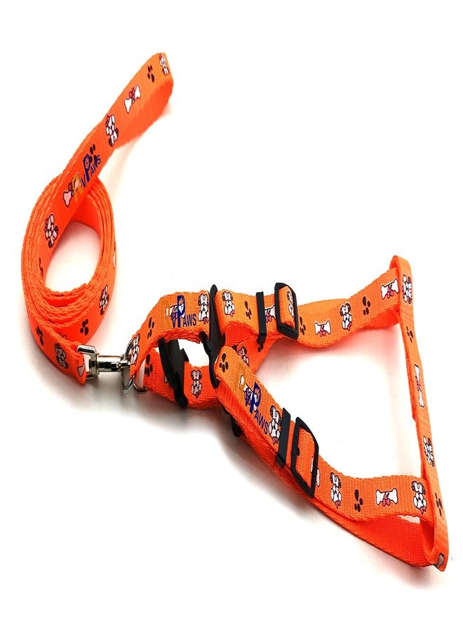 Pups&Pets طقم سرج جرو من النايلون الناعم القابل للتعديل من Pups&Pets، مزين بطبعة عظمة ومخلب ملون، مع مقود بخطاف معدني (برتقالي) - Image 1